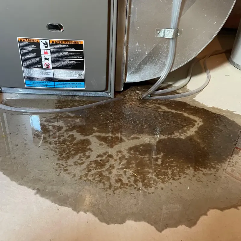 Appliance Leak Cleanup in Central City, AZ