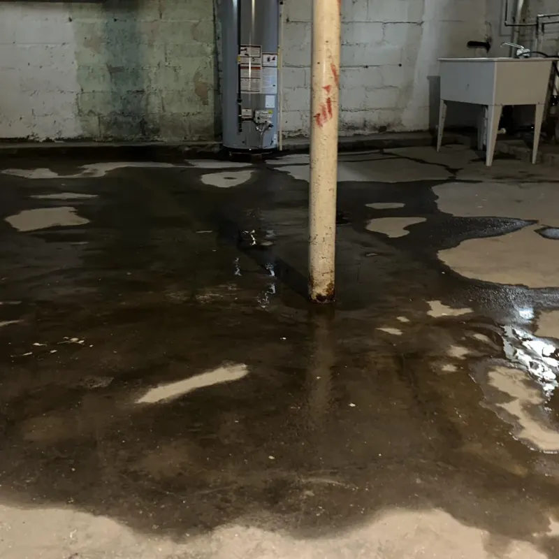 Emergency Water Extraction And Removal in Central City, AZ